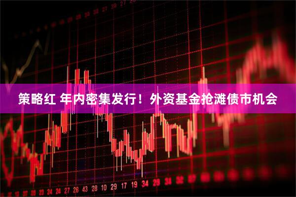 策略红 年内密集发行！外资基金抢滩债市机会