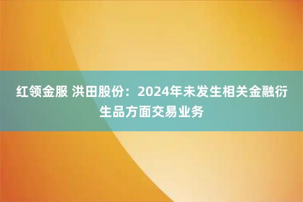 红领金服 洪田股份：2024年未发生相关金融衍生品方面交易业务