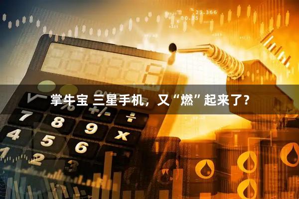 掌牛宝 三星手机，又“燃”起来了？